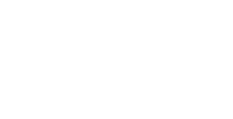 CLEM